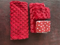Miscellaneous Random Fabric Scraps MINKY CUDDLE DOT ROSEBUD PRINTS COLOR THEMES