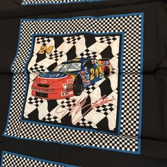 Jeff Gordon Fabric 3 Yards X 43 In. 1996 Car #24 Hendrick Motorsports Race Car