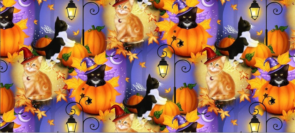 Halloween Fabric – Fairy Cats Costume Pumpkin – David Textiles YARD