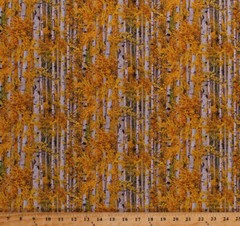Birch Trees Woods Forest Landscape Gold Autumn Cotton Fabric Print BTY D763.54