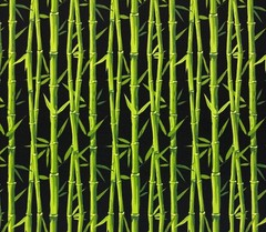 TEMPO TERRASOL BAMBOO BLACK GREEN OUTDOOR CUSHION PILLOW FABRIC BY YARD 54″W