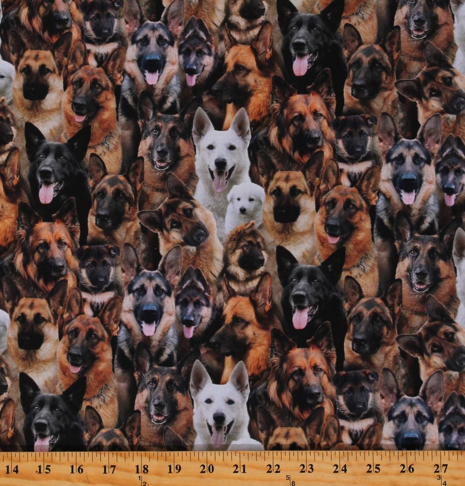 Cotton German Shepherds White Shepherds Dog Animals Fabric Print by Yard D758.53