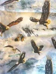eagle bird of prey fun fabric animal 10 by 9.5 inch 1pc