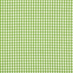 Lime Gingham Checkered 1/8” inch Fabric poly cotton 60” wide By Yard