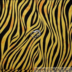 BonEful Fabric FQ Cotton Quilt Yellow Black Wild Animal Zebra Stripe Skin Safari
