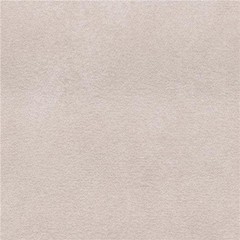 AC Daytona Stain Resistant Microsuede Upholstery Fabric by The Yard