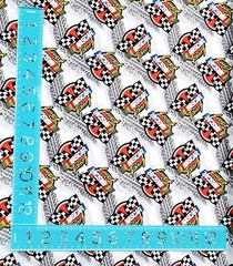 NASCAR Fabric Quilt Cotton 44″ wide BTHY