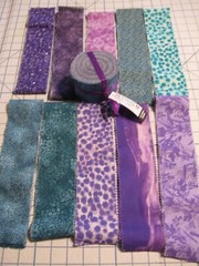 Jelly Rolls 20 Pc Strips Quilt Fabric 2½” x 42” Cotton TEAL/PURPLE NEW