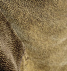 Siamese Nugget/Coffee Reversible Chenille Animal Print Upholstery Fabric