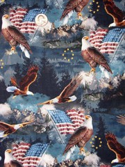 Patriotic Soaring Eagle Fabric By The Yard USA Flag Star Mountains Cotton