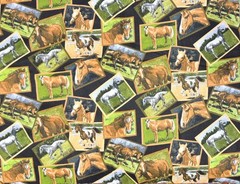 David Textiles Flannel Fabric Horse Horses Framed 44″ x 44 ” ***1+ yards