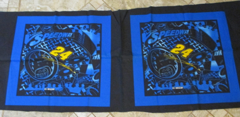 Jeff Gordon #24 Nascar Fabric Pillow Panel Springs Ind. Each panel is 17×17