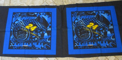 Jeff Gordon #24 Nascar Fabric Pillow Panel Springs Ind. Each panel is 17×17