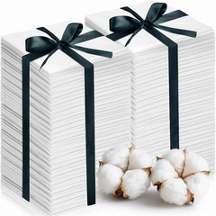 100 Pieces 10 X 10 Inches White Cotton Fabric Squares White Precut Quilting Fabr