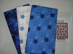 Quilt Kit 3yd + pattern name brand free ship coordinated LAST ONE Fabric Cafe