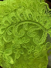 Melody NEON LIME GREEN Polyester Floral Embroidery with Sequins on Mesh Lace Fa