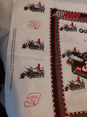 Nascar Sewing Pillow Panel #3 Goodwrench Childress Racing RCR