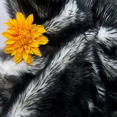 Bianna Candy Black Wolf Faux Fur Fabric, 60 inches Wide Options, American Seller