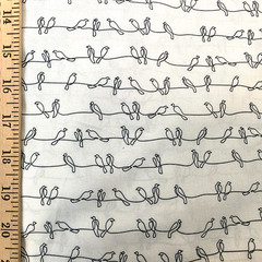 Birds on a Wire Continuous Line Drawing Print by Jason Yenter – In The Beginning