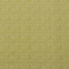 PREMIER PRINTS LITTLE TIGER OLIVE GOLDEN YELLOW ZEBRA FABRIC BY THE YARD 54″W