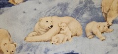 13 Yds Cotton Flannel Coordinated Quilting Fabric Polar Bear Patrick Lose & GIFT