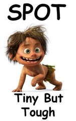 Good Dinosaur Spot # 13 – 8 x 10 – T Shirt Iron On Transfer