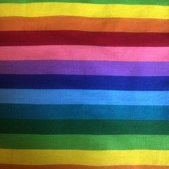 Rainbow Vintage 3 Yard piece Quilting Fabric
