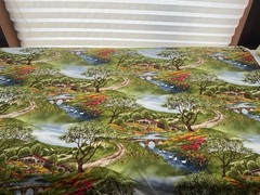 Fabric Spring Beautiful Countryside By Michael Miller Fabric 44”x 36”00