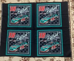 Vintage 02 Nascar Bobby Labonte Fabric Panel cotton 35×45 Spring Industries teal