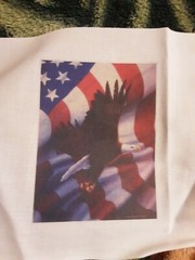 4 Eagle Squares 7 L X 7 W Multicolor