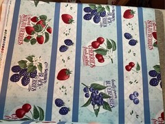 Border Stripe Fresh Sweet cotton fabric Wilmington prints choice of size Cherry