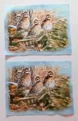 Cotton Fabric Quails on Floor of Woods – 2 Pieces – Pic E = 5″L x 6 1/2″W
