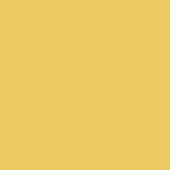 Pure Solid in Empire Yellow | Pure Solids | Art Gallery