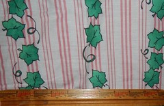 vintage Daisy Kingdom Watermelon Crow Border print stripe bird ivy floral blue