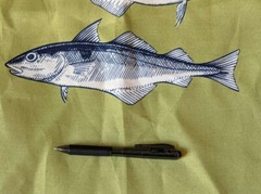 Bryant stacked fish marine green fishing print fabric material buy by the yd CA