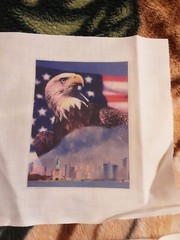 4 Eagle Squares 7 L X 7 W Multicolor