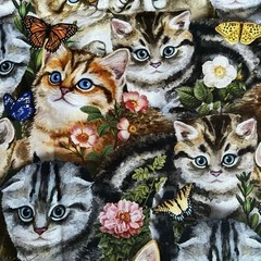 Realistic Kittens Cats Garden Floral Butterflies David Textiles 2 Yards