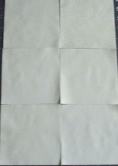 48 Neutral Cream Tonal Tone on Tone Fabric 5 inch Quilt Squares Charm pack B
